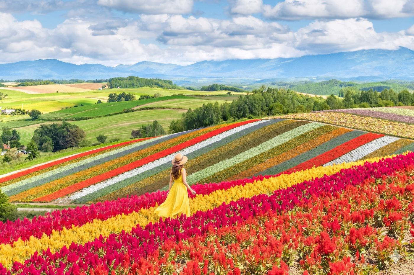 Hokkaido Nature