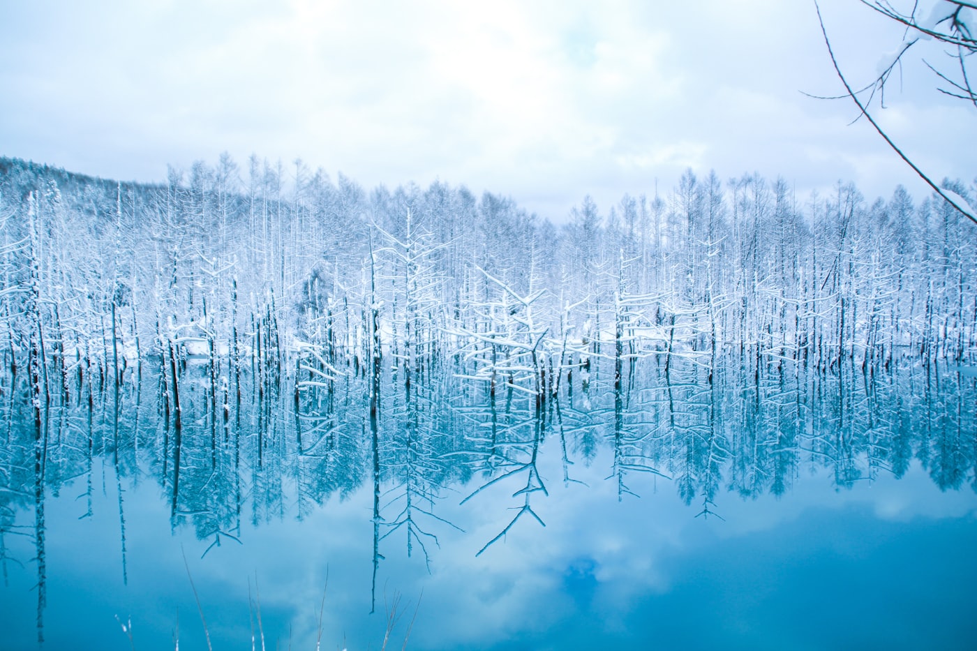 The Shirogane Blue Pond near Biei, Hokkaido